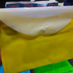 Clear Bag Button Double Pocket